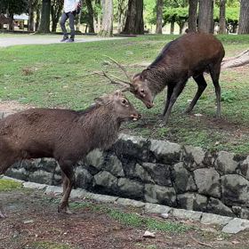 そら、そうなるわなの画像