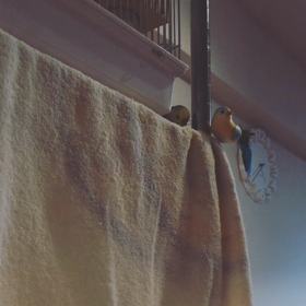 浪速のおっさん？！の画像