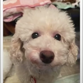 インスタで気になるの画像