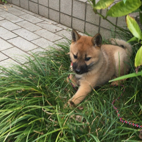 朝からフルスロットルでの画像