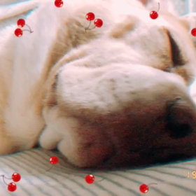 9/6(水)ネイル꒰ ´͈ω`͈꒱の画像