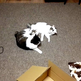 戦う男たちの画像