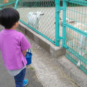 お出掛けの画像