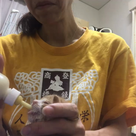 深夜の授乳の画像