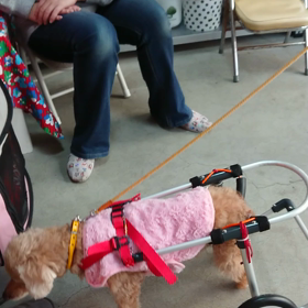 工房のあれこれ ～まだまだお元気～の画像