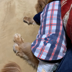 ネットのgmeを読んで…の画像