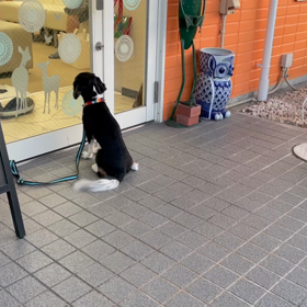 ■あ〜ちゃん元気です(^^)■の画像