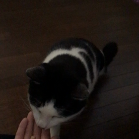 さっちゃん(皐月くん)オヤツタイム！の画像