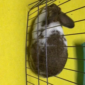 今日のふづきちゃんの画像