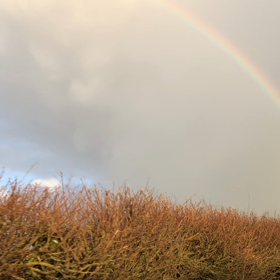 イギリス生活〜美しい半円の虹♡の画像