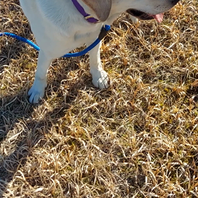 運動でストレスフリーに(笑)の画像