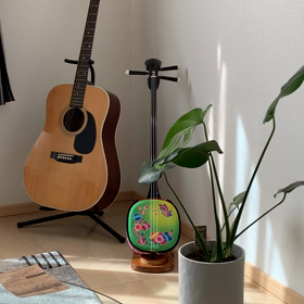 観葉植物は育つの画像