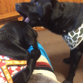 ナツアキ７日目  仲いーんかいな⁉️の画像