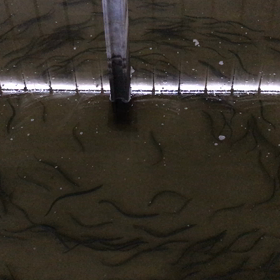 冬なのに島民はどうした！の画像