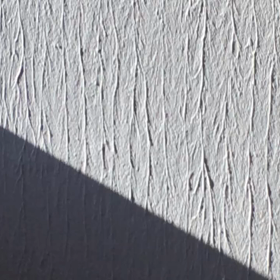 こぐまにやられたトンボの画像