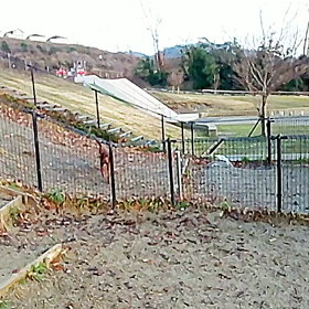 健康優良児の画像