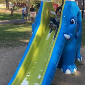 過保護？笑【動画あり】の画像