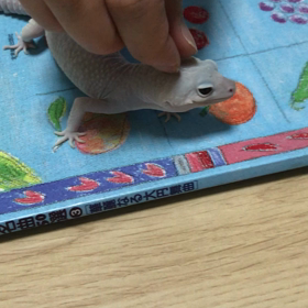 リム　脱皮　ちょっとだけよの画像