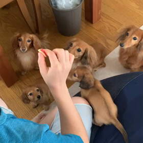 さんちゃんベビー♡順番待ちの画像