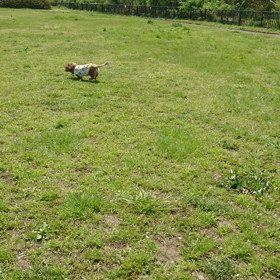 ルンルンです☆の画像