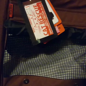 メイメイの子犬のダンスの画像