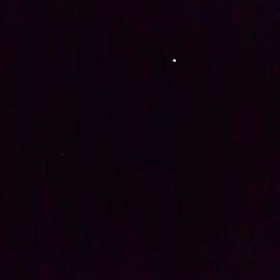 ホタル♥の画像