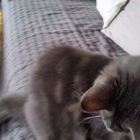 持って来て遊ぶの画像