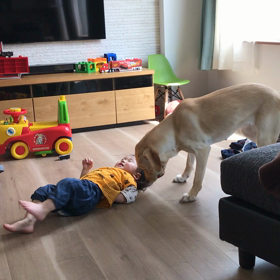 不機嫌な息子の画像