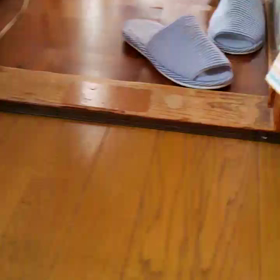 イソガシイの画像