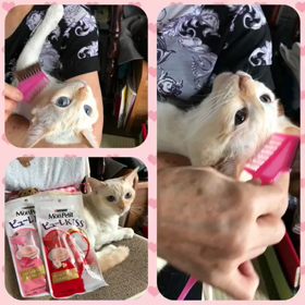 ゆずちゃんの画像