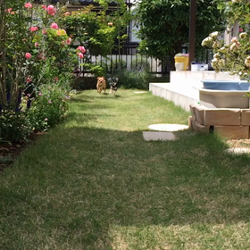 スローモーションの画像