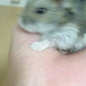 スキンシップの画像