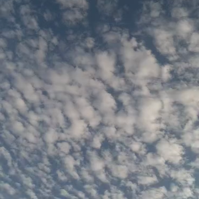 秋の空 ☁*°の画像