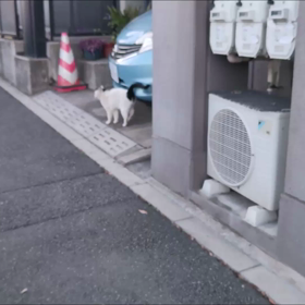 ゆく年くる年(☆ˇ＿ˇ☆)の画像