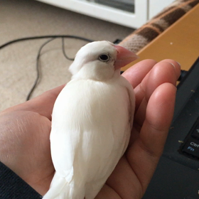 あったかいの画像