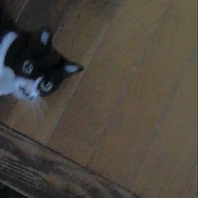 おはよ~~の画像