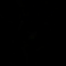 #601 ホタルの季節の画像