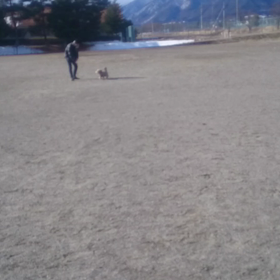 謹賀新年の画像