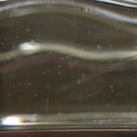 インフゾリア（ゾウリムシ）の画像