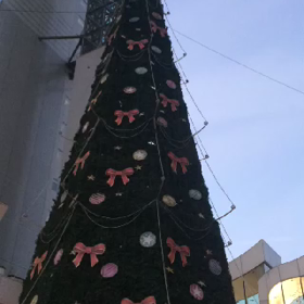 スカイビルのクリスマスツリーの画像