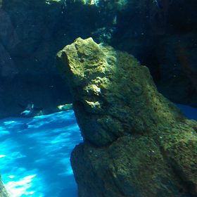 月曜日断食２ヶ月＋９日目   |ω`)の画像