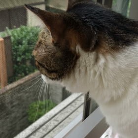 今日は仏滅 笑い ！ お留守番デール。の画像