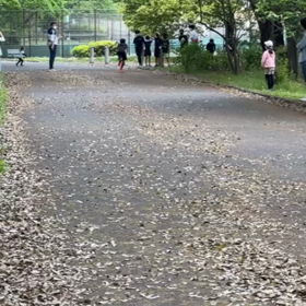 リレー選考会(男子)中間付近⑥の画像