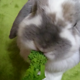 春はすぐそこ！の画像