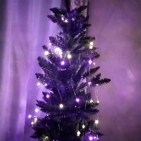 毎年クリスマスにすることの画像