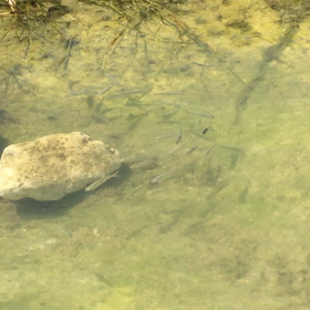 続けるって難しい？とすごい発見！の画像