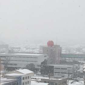 また降ってきた、、、（´-`）.｡oOの画像