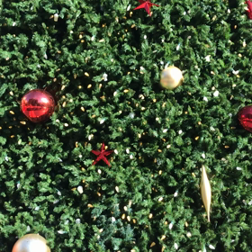 メリー・クリスマス！！の画像