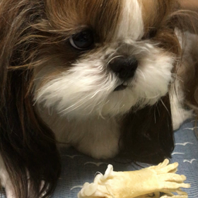 しゃっくり(o^^o)の画像