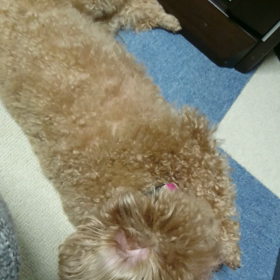 つまんないなぁの画像